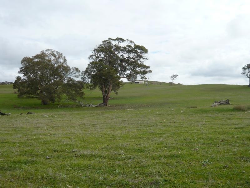 Lot 52/ Moss Smith Road, Springton SA 5235