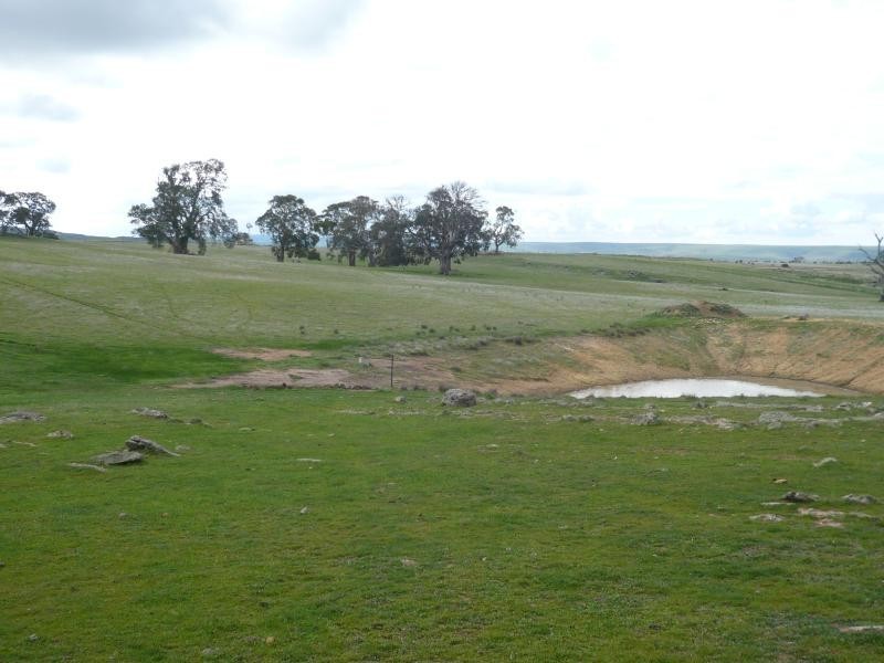 Lot 52/ Moss Smith Road, Springton SA 5235