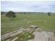 Lot 52/ Moss Smith Road, Springton SA 5235