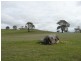 Lot 52/ Moss Smith Road, Springton SA 5235