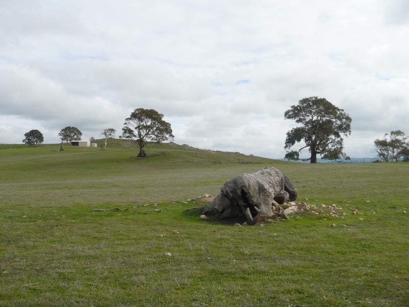 Lot 52/ Moss Smith Road, Springton SA 5235