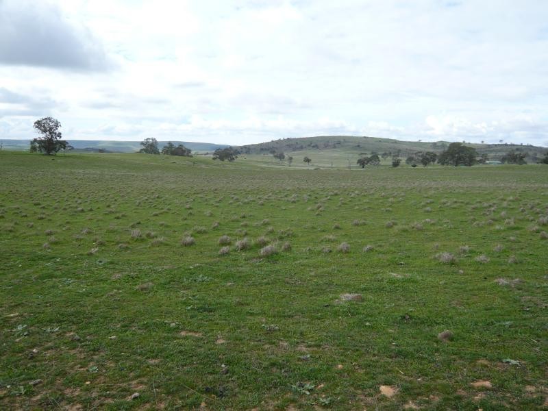 Lot 52/ Moss Smith Road, Springton SA 5235