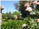 342 Portrush Road (Adjacent Heathpool), Tusmore SA 5065