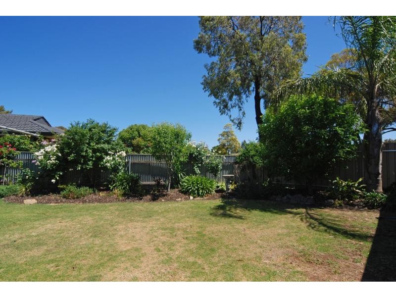 10 Augustus Street, Modbury Heights SA 5092