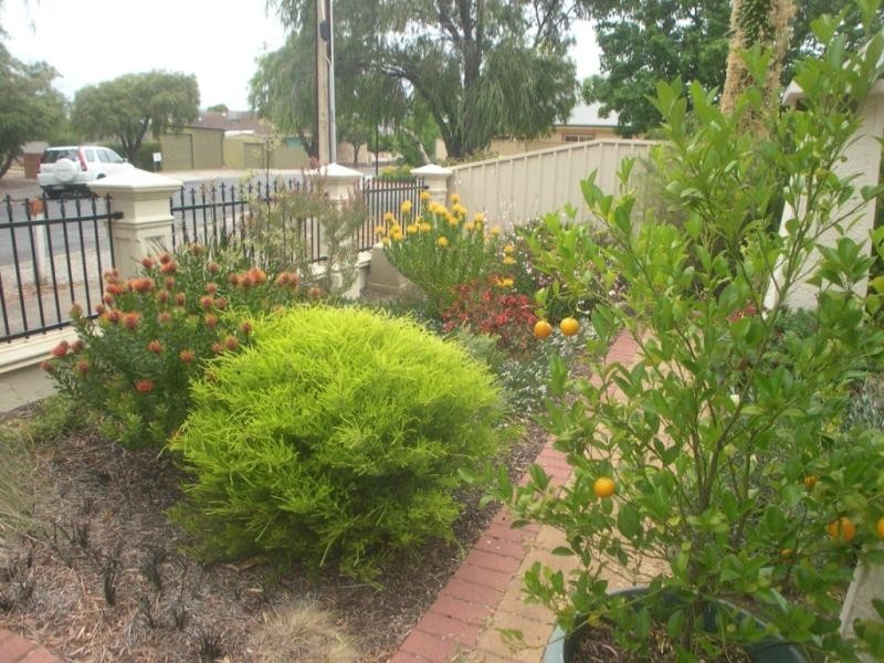 1 Slape Grove, Payneham South SA 5070