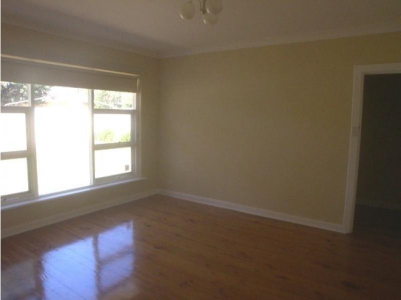 28 Freeman Avenue, Tranmere SA 5073