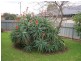 35 Reece Avenue, Klemzig SA 5087