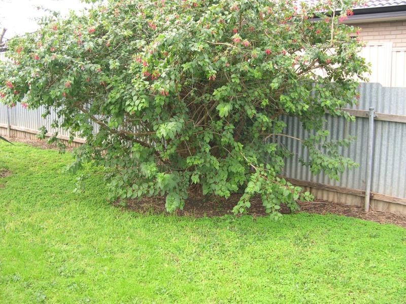 35 Reece Avenue, Klemzig SA 5087