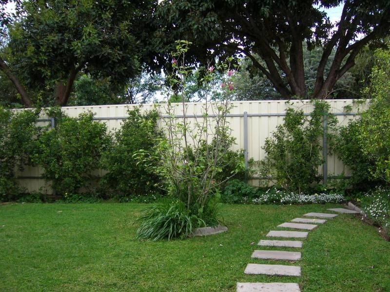 67 Gladstone Ave, Magill SA 5072