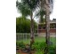 67 Gladstone Ave, Magill SA 5072