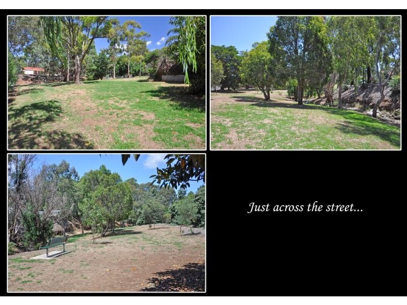 6 Donaldson Drive, Paradise SA 5075
