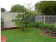 67 Gladstone Ave, Magill SA 5072