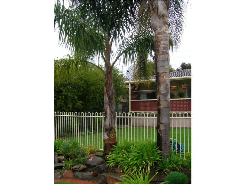 67 Gladstone Ave, Magill SA 5072