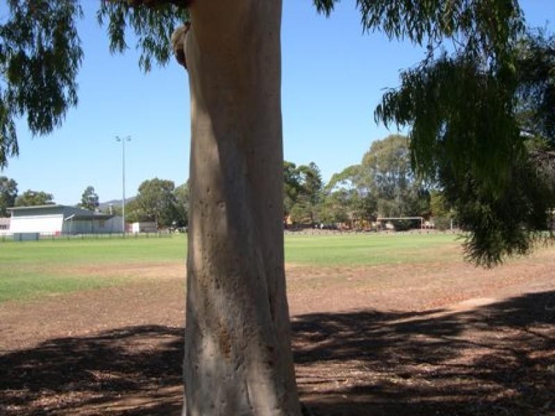 30 The Parkway, Klemzig SA 5087