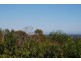 8 Wistaria Grove, Athelstone SA 5076