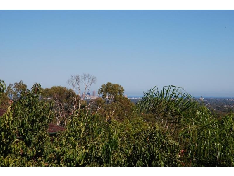 8 Wistaria Grove, Athelstone SA 5076