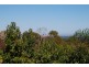 8 Wistaria Grove, Athelstone SA 5076