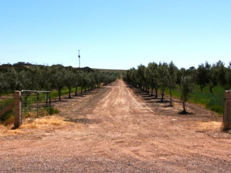 Lot 9/ Black Hill Road, Cambrai SA 5353