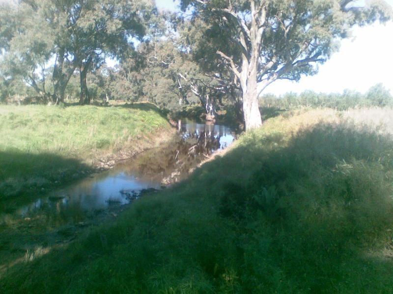 Lot 9/ Black Hill Road, Cambrai SA 5353