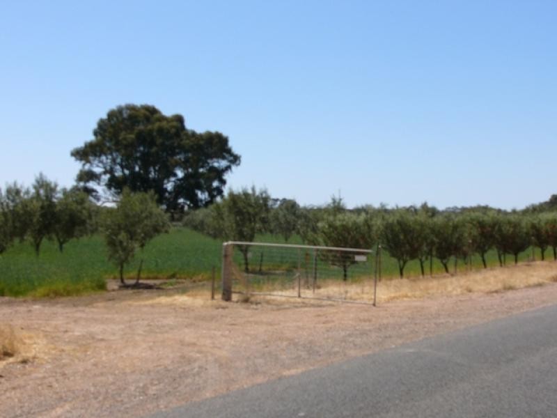 Lot 9/ Black Hill Road, Cambrai SA 5353
