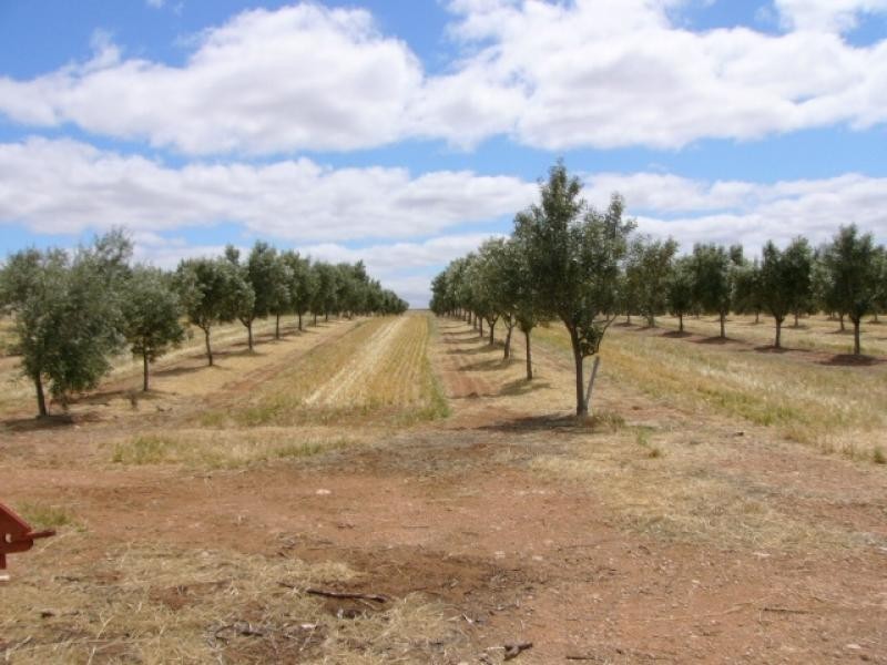 Lot 9/ Black Hill Road, Cambrai SA 5353