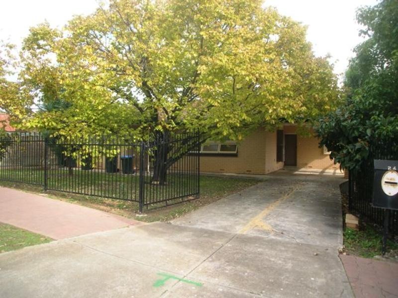 24 Harris Street, Paradise SA 5075