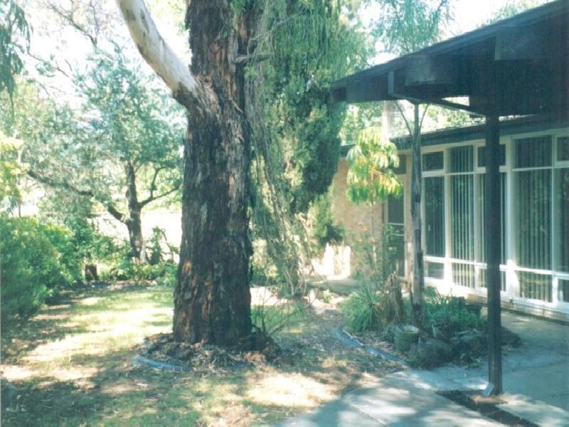 Banksia Park SA 5091