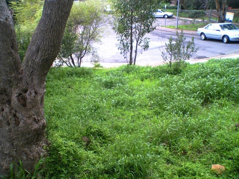 14 SEAN COURT, Coromandel Valley SA 5051