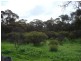 48 Warwick Street, Enfield SA 5085