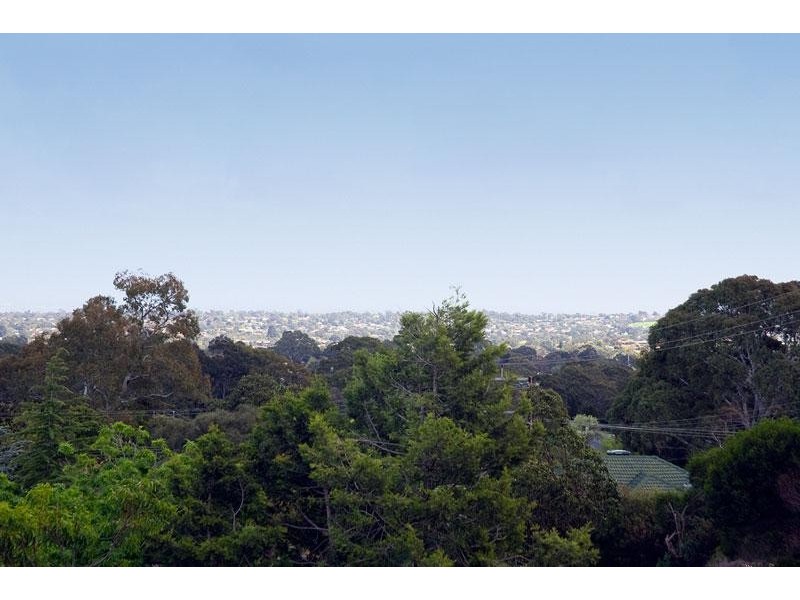 22 Rednall Street, Tea Tree Gully SA 5091