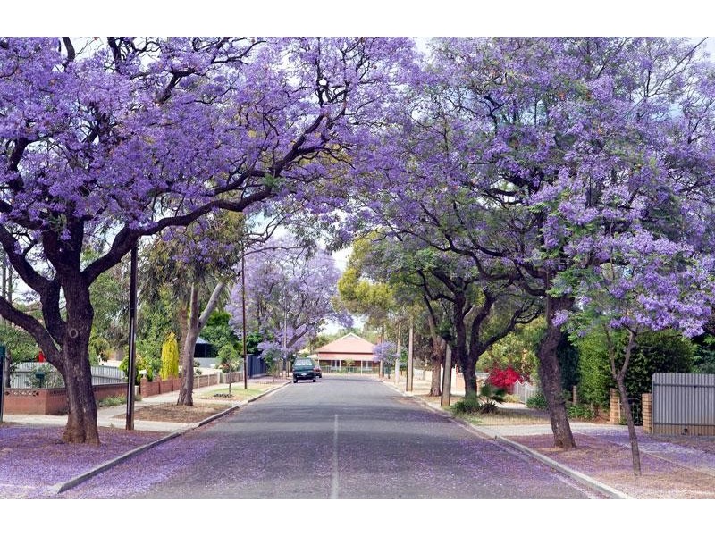 16-18 King Street, Prospect SA 5082