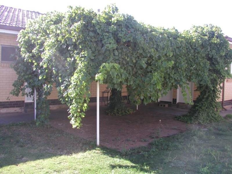 19A Gawler Road, Virginia SA 5120