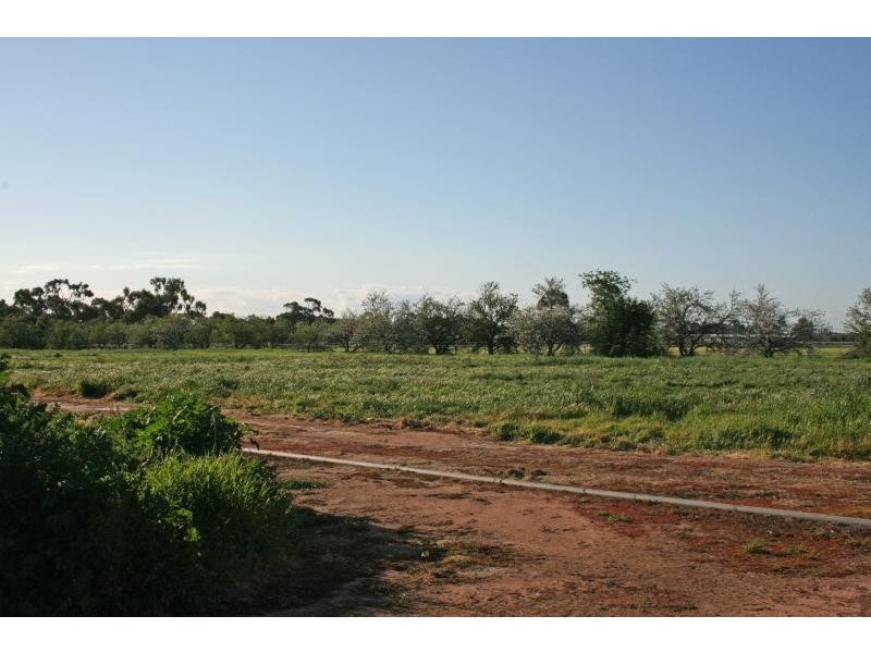 Lot 14/ Heaslip Road, Penfield Gardens SA 5121