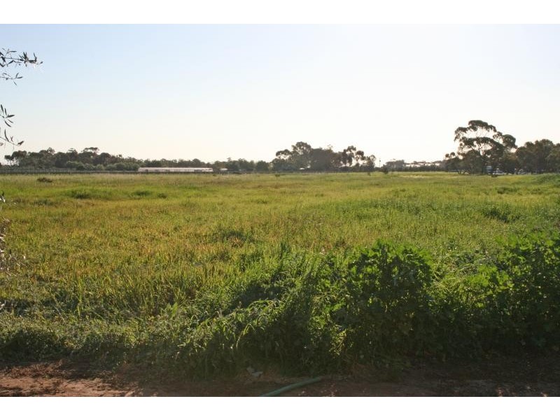 14 Heaslip Road, Penfield Gardens SA 5121