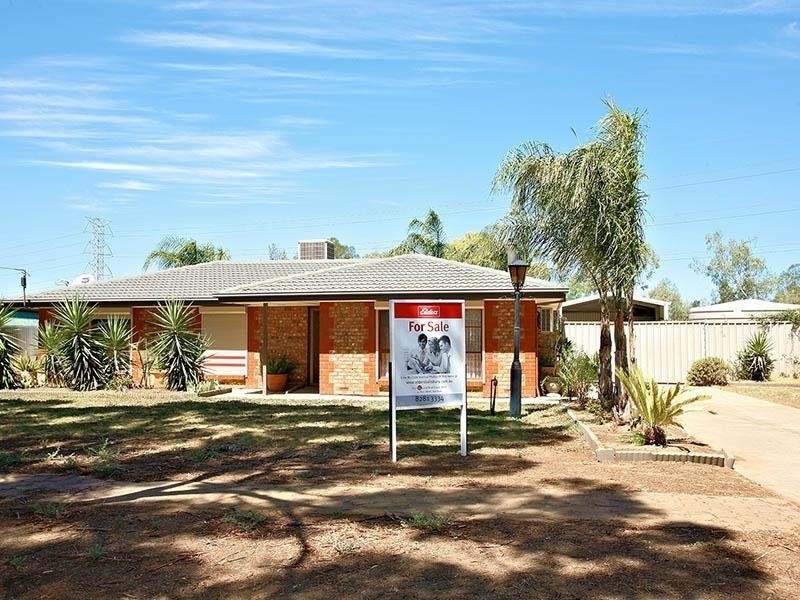 13 Alabar Crescent, Globe Derby Park SA 5110