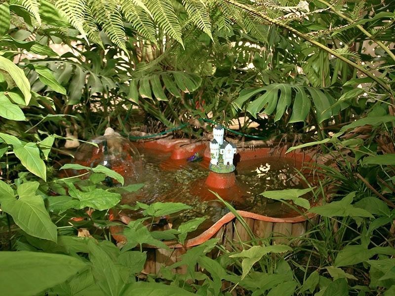 31 Barbara Street, Salisbury East SA 5109