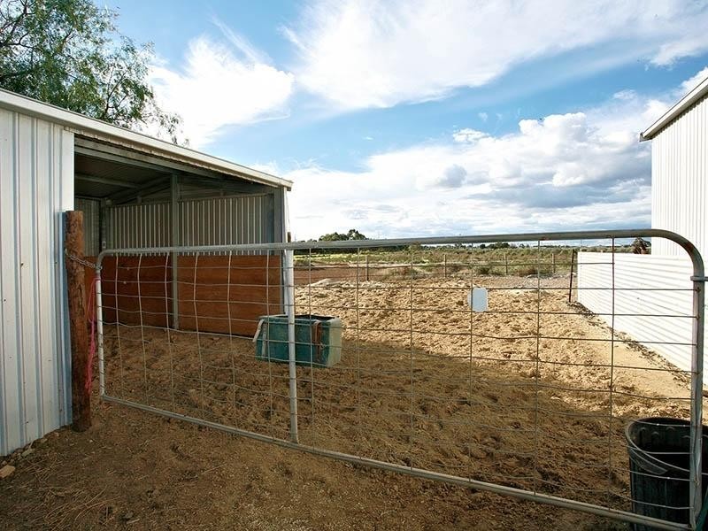 Lot 171 and 172 Ryans Road, Globe Derby Park SA 5110
