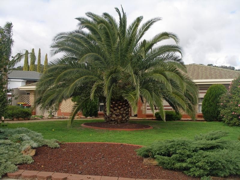 10 Rockley Court, Hillbank SA 5112