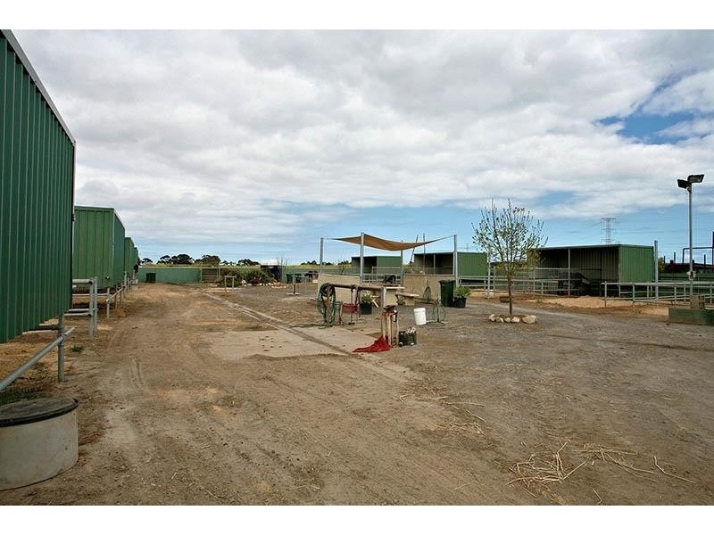 76 Daniel Avenue, Globe Derby Park SA 5110