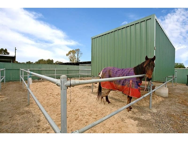 76 Daniel Avenue, Globe Derby Park SA 5110