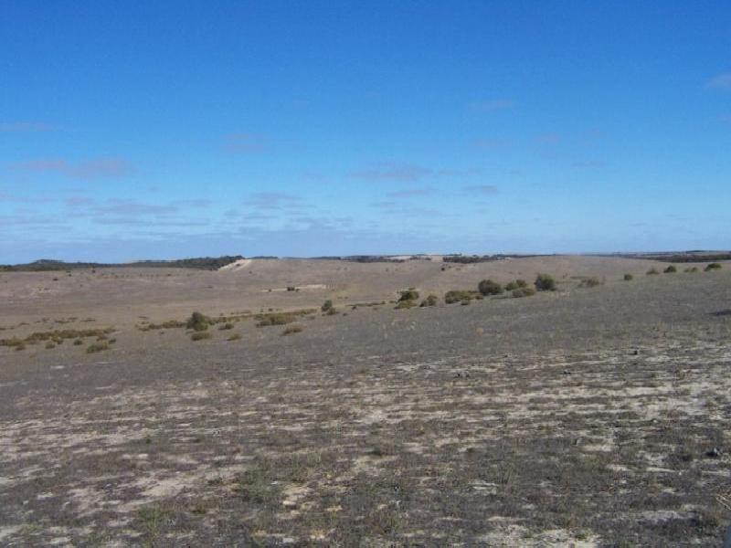 SECTION 4 ROSY PINE BORE ROAD, Pinnaroo SA 5304