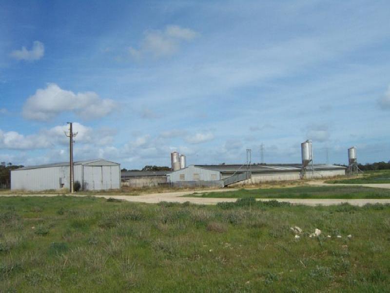 LOT 15 CALISTRA ROAD, Tailem Bend SA 5260