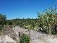 Tailem Bend SA 5260