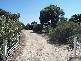 Tailem Bend SA 5260