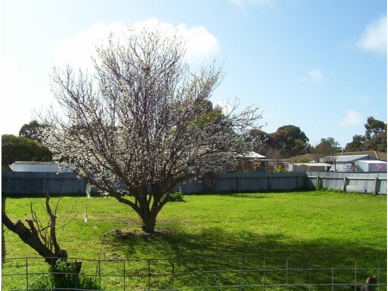 35 PEAKE TERRACE, Coonalpyn SA 5265