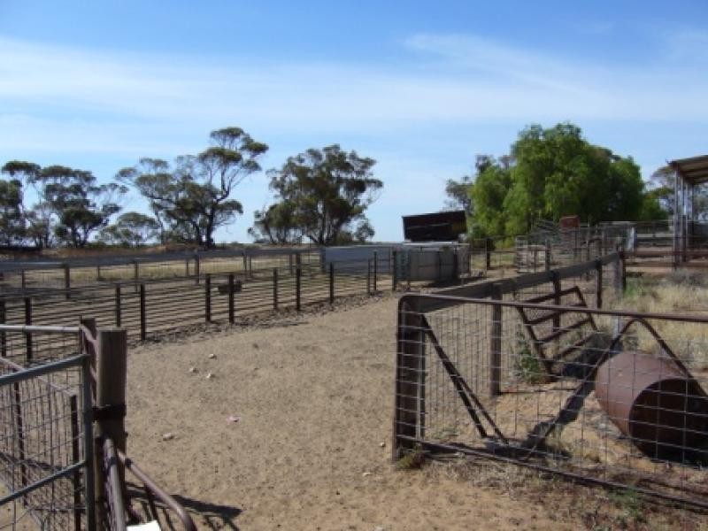 Karoonda SA 5307