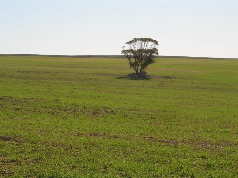 Karoonda SA 5307