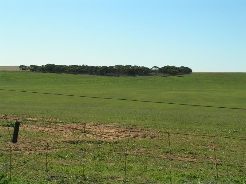 Karoonda SA 5307