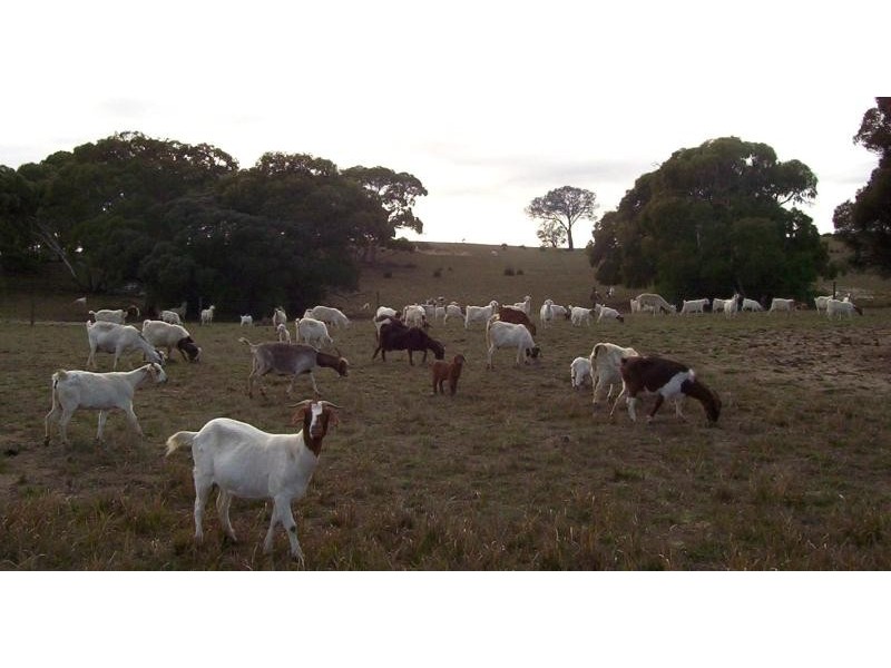 YUMALI ROAD, Meningie SA 5264