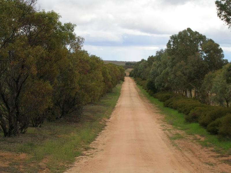 Borrika SA 5309